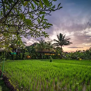 Villa Bliss Luxury, Ubud